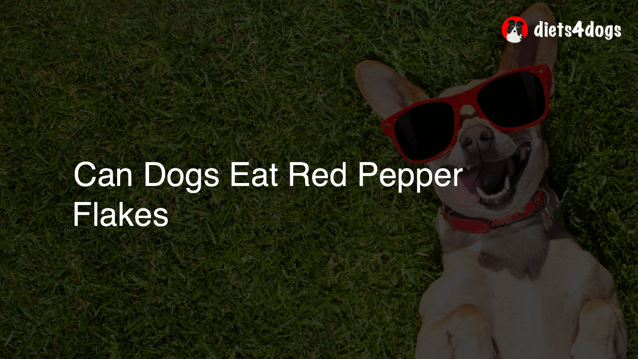 Can Dogs Eat Red Pepper Flakes