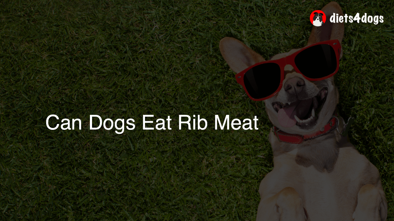 Can Dogs Eat Rib Meat