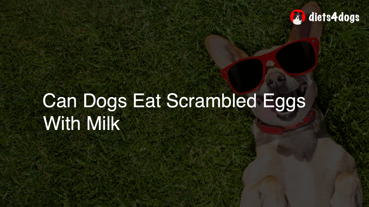 Can Dogs Eat Scrambled Eggs With Milk