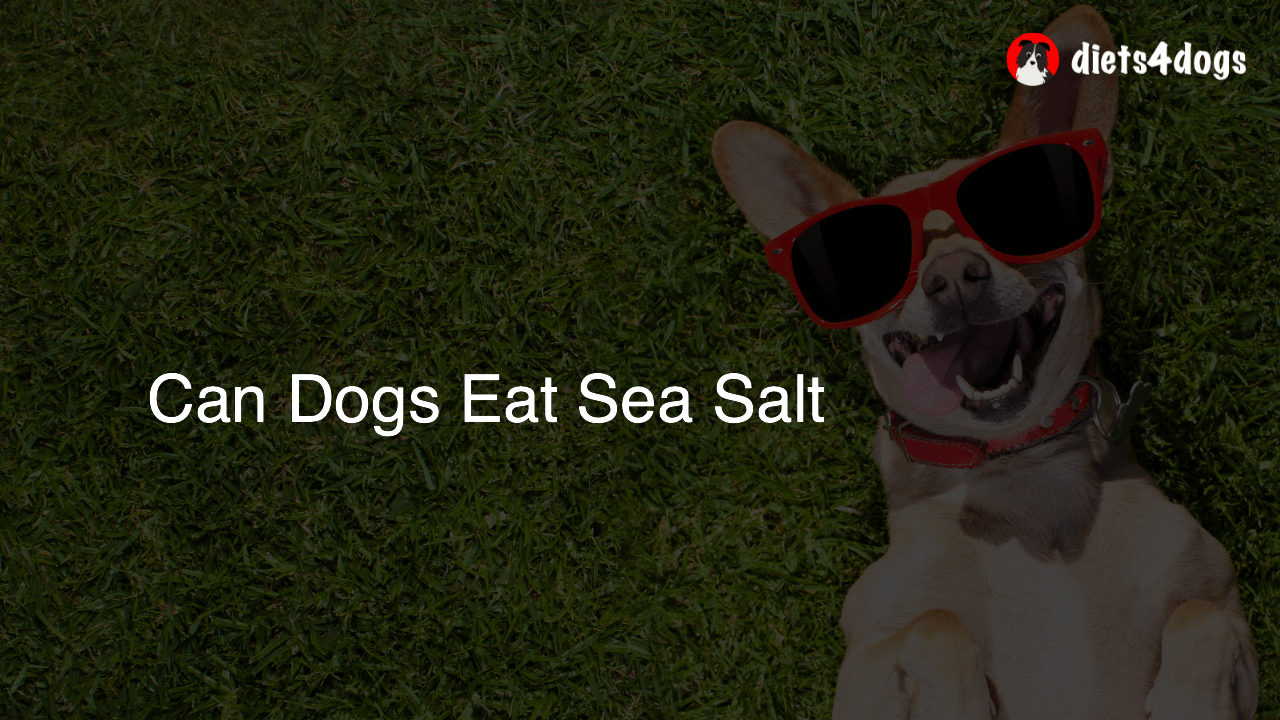 Can Dogs Eat Sea Salt