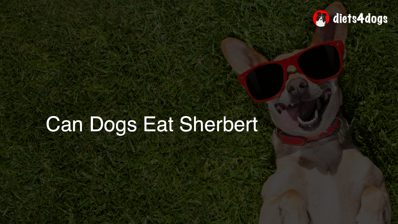 Can Dogs Eat Sherbert