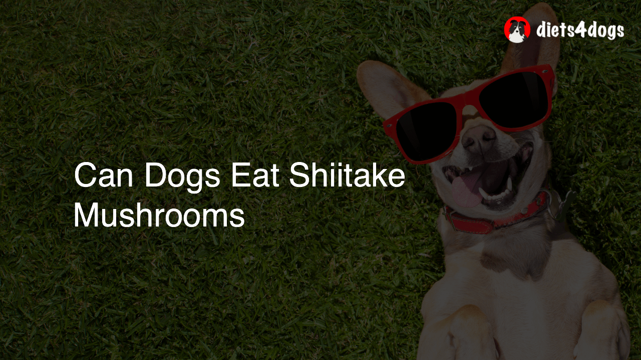 Can Dogs Eat Shiitake Mushrooms