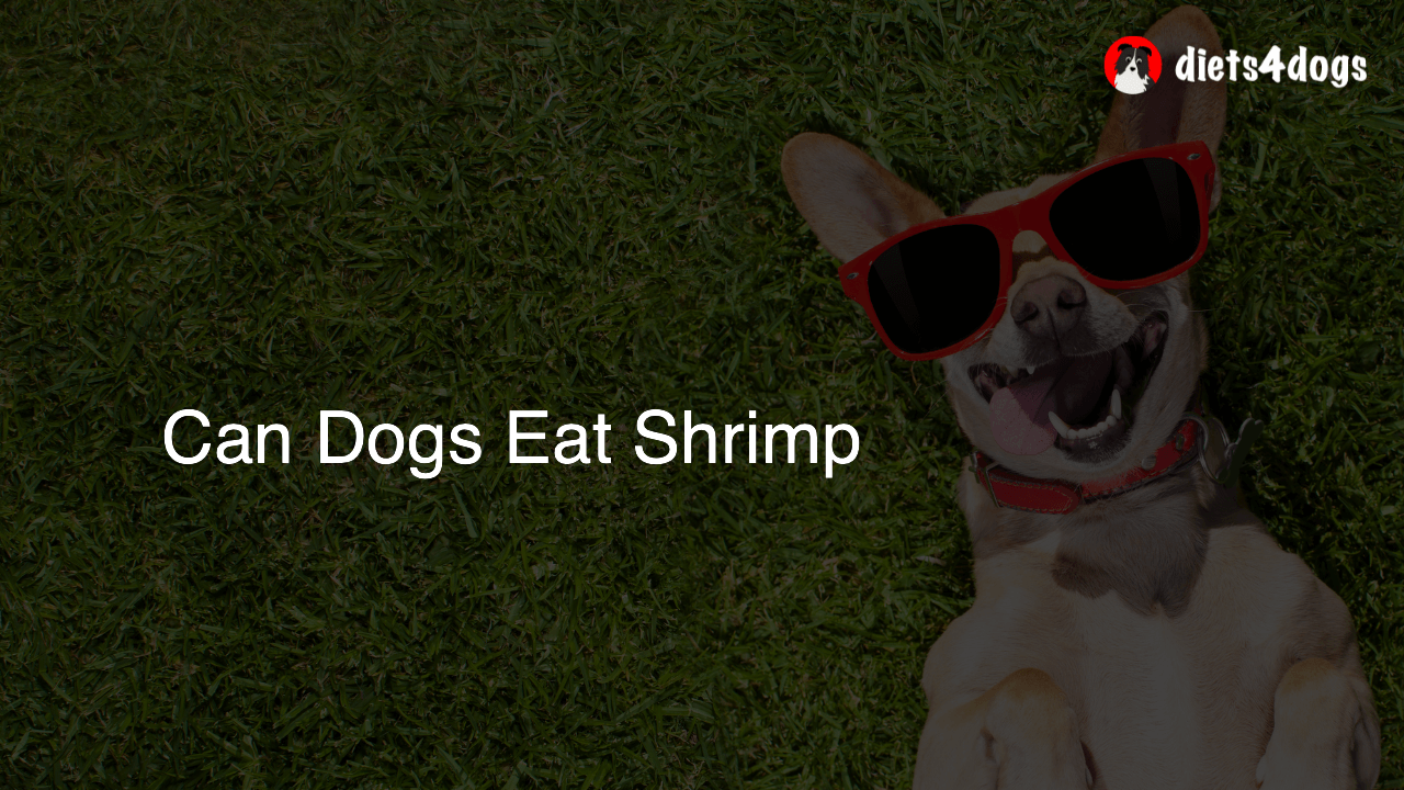 Can Dogs Eat Shrimp