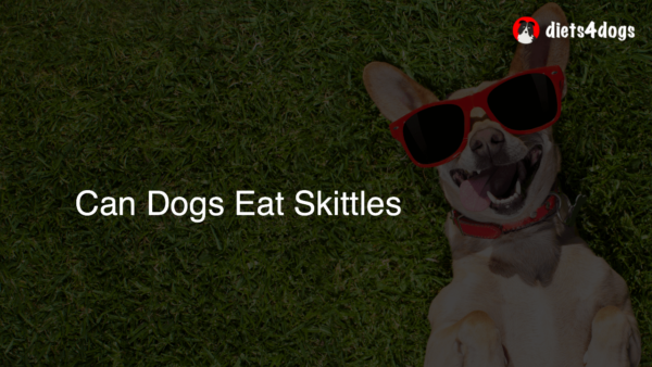 Can Dogs Eat Skittles