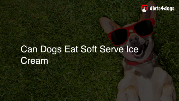 Can Dogs Eat Soft Serve Ice Cream