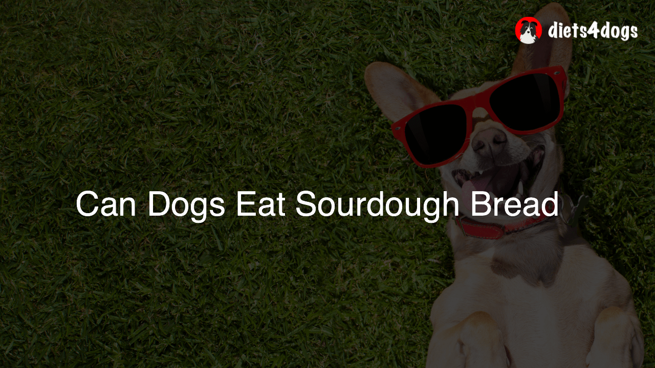 Can Dogs Eat Sourdough Bread