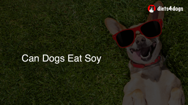 Can Dogs Eat Soy