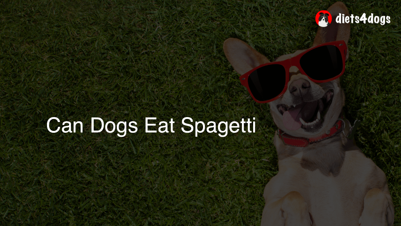 Can Dogs Eat Spagetti
