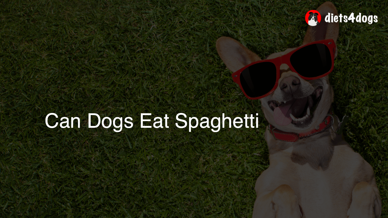 Can Dogs Eat Spaghetti