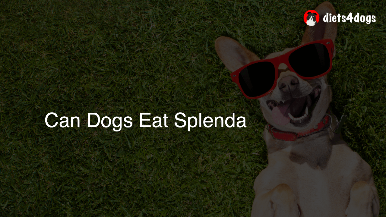 Can Dogs Eat Splenda