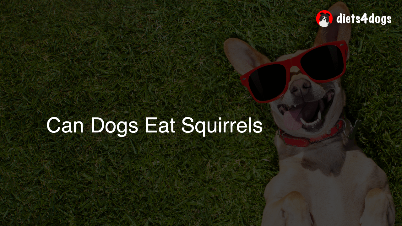 Can Dogs Eat Squirrels