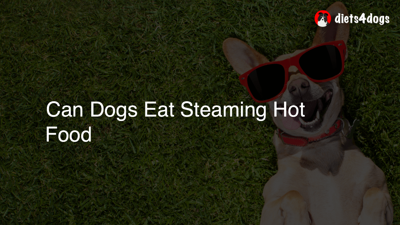 Can Dogs Eat Steaming Hot Food