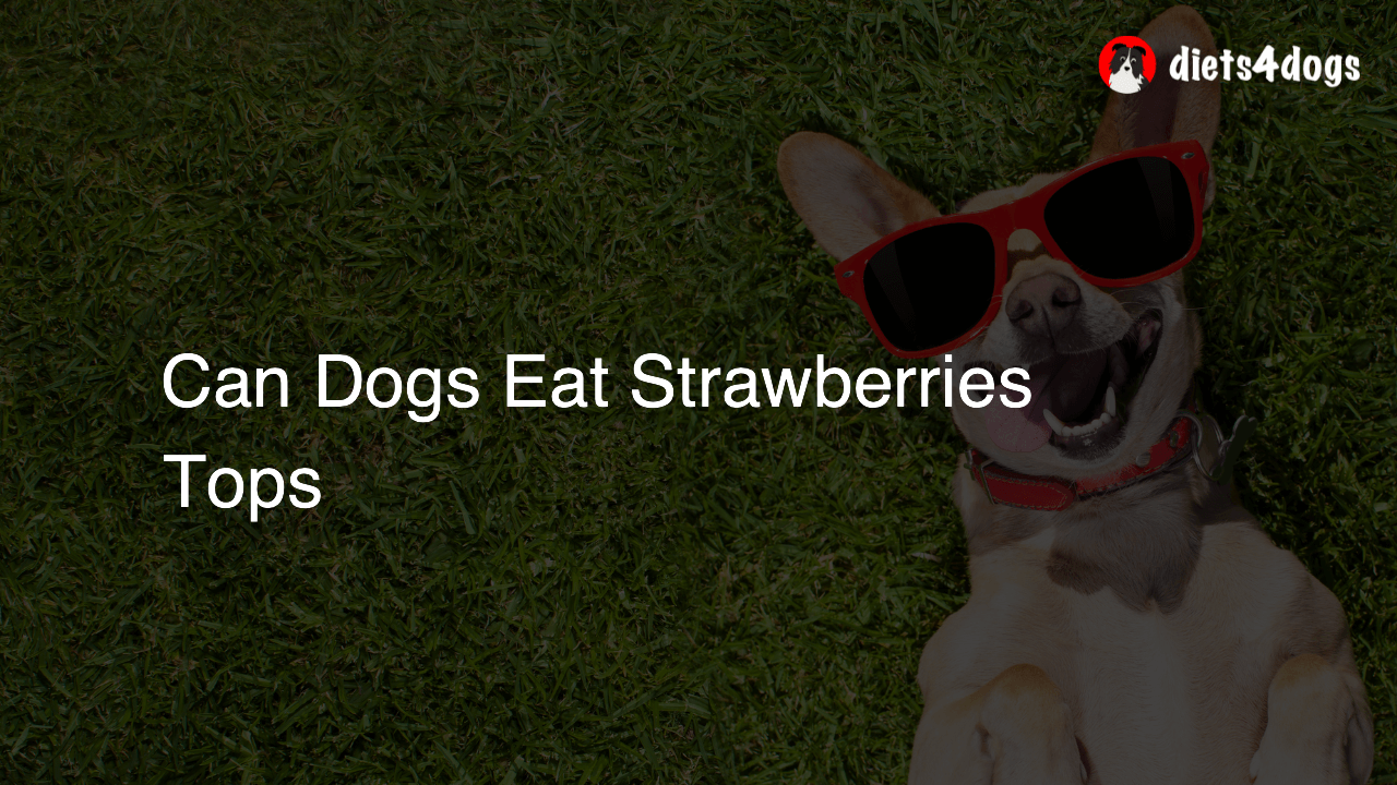 Can Dogs Eat Strawberries Tops