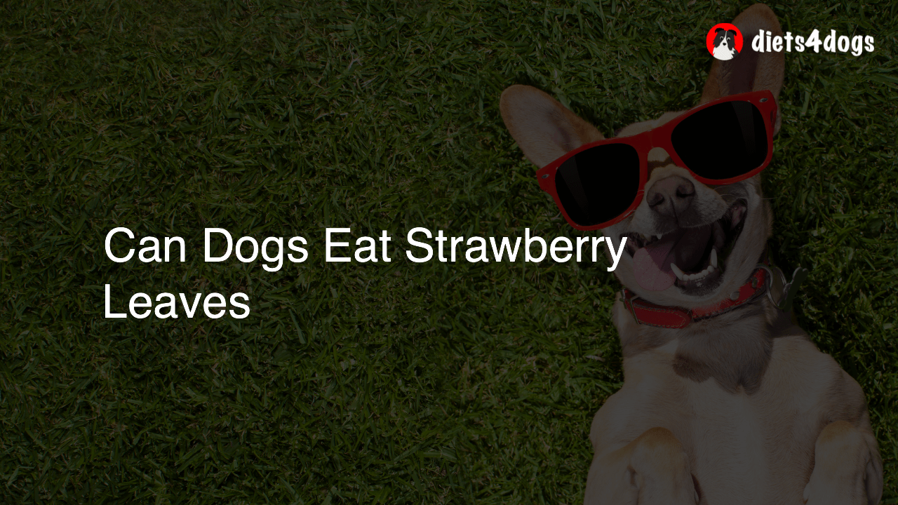 Can Dogs Eat Strawberry Leaves