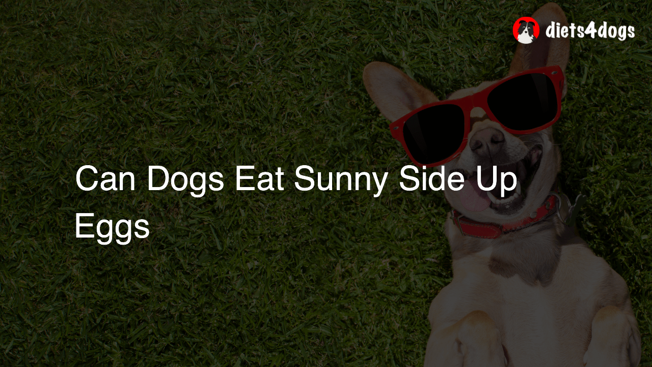 Can Dogs Eat Sunny Side Up Eggs