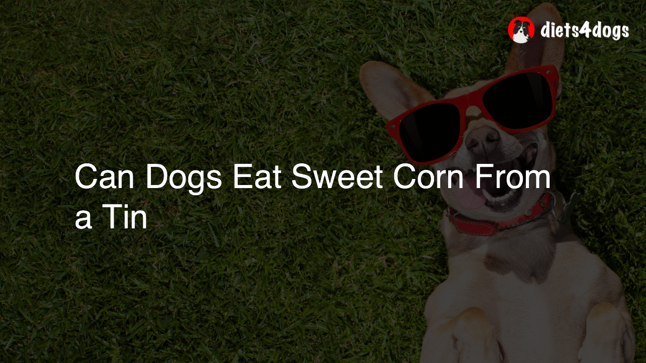 Can Dogs Eat Sweet Corn From a Tin
