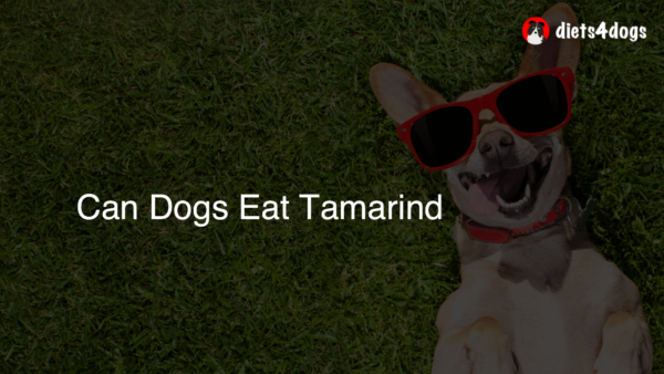 Can Dogs Eat Tamarind