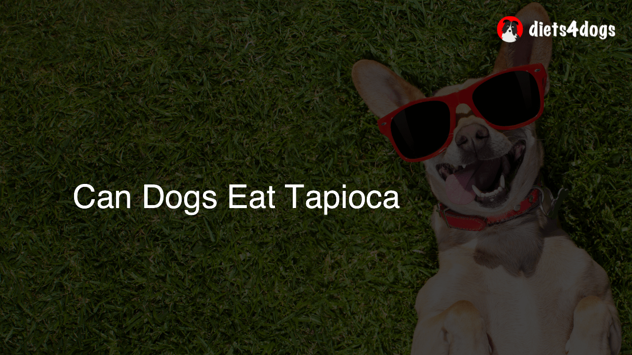 Can Dogs Eat Tapioca