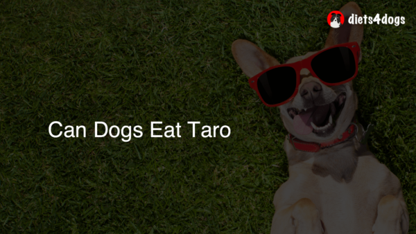 Can Dogs Eat Taro