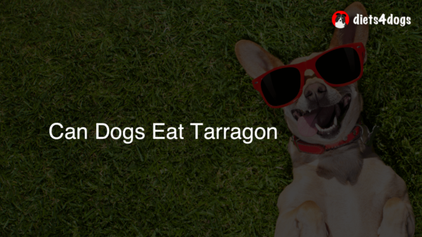 Can Dogs Eat Tarragon