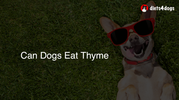 Can Dogs Eat Thyme