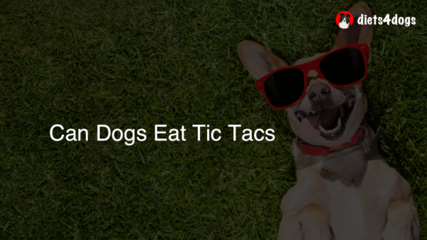 Can Dogs Eat Tic Tacs