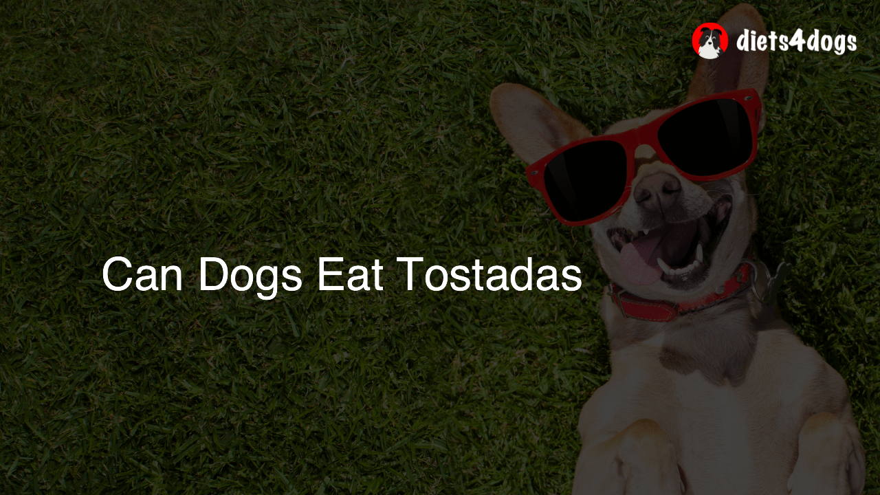 Can Dogs Eat Tostadas