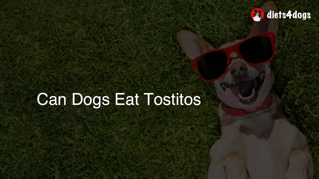 Can Dogs Eat Tostitos