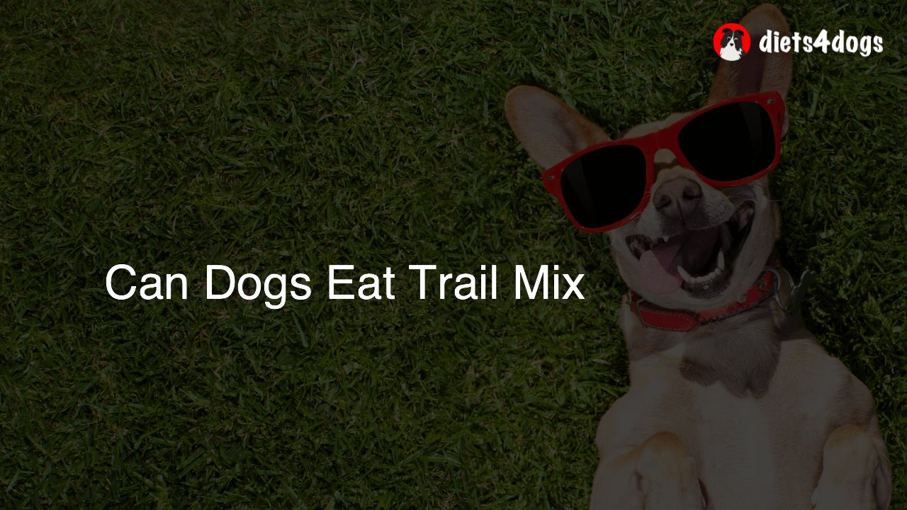 Can Dogs Eat Trail Mix