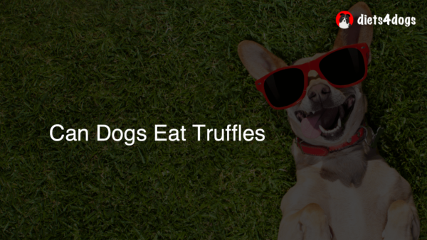 Can Dogs Eat Truffles