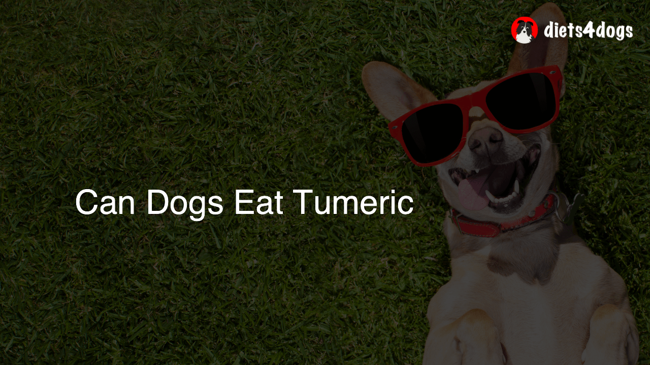 Can Dogs Eat Tumeric