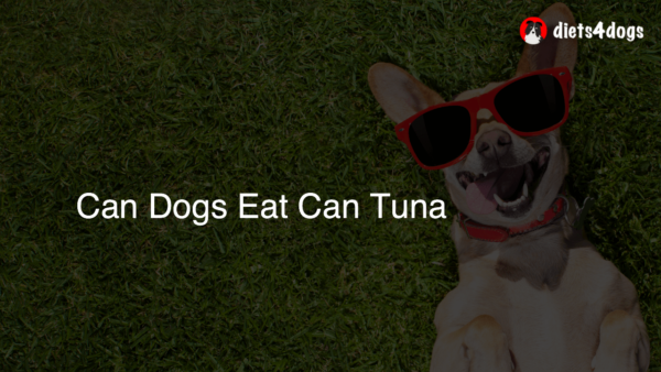 Can Dogs Eat Can Tuna