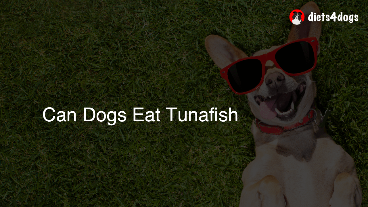 Can Dogs Eat Tunafish