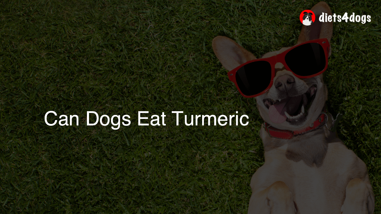 Can Dogs Eat Turmeric