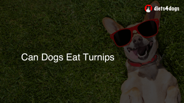 Can Dogs Eat Turnips