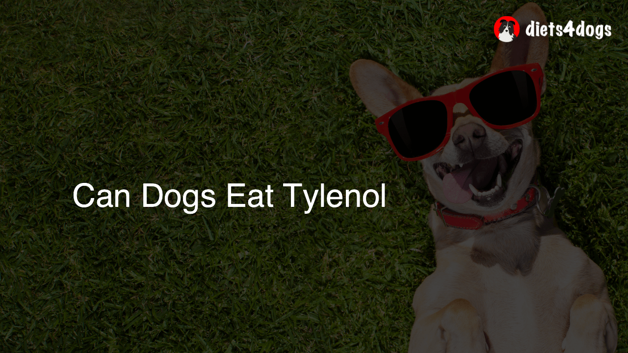 Can Dogs Eat Tylenol