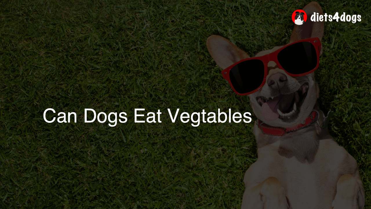 Can Dogs Eat Vegtables