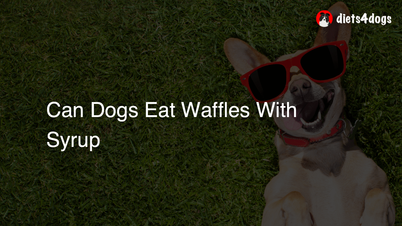 Can Dogs Eat Waffles With Syrup