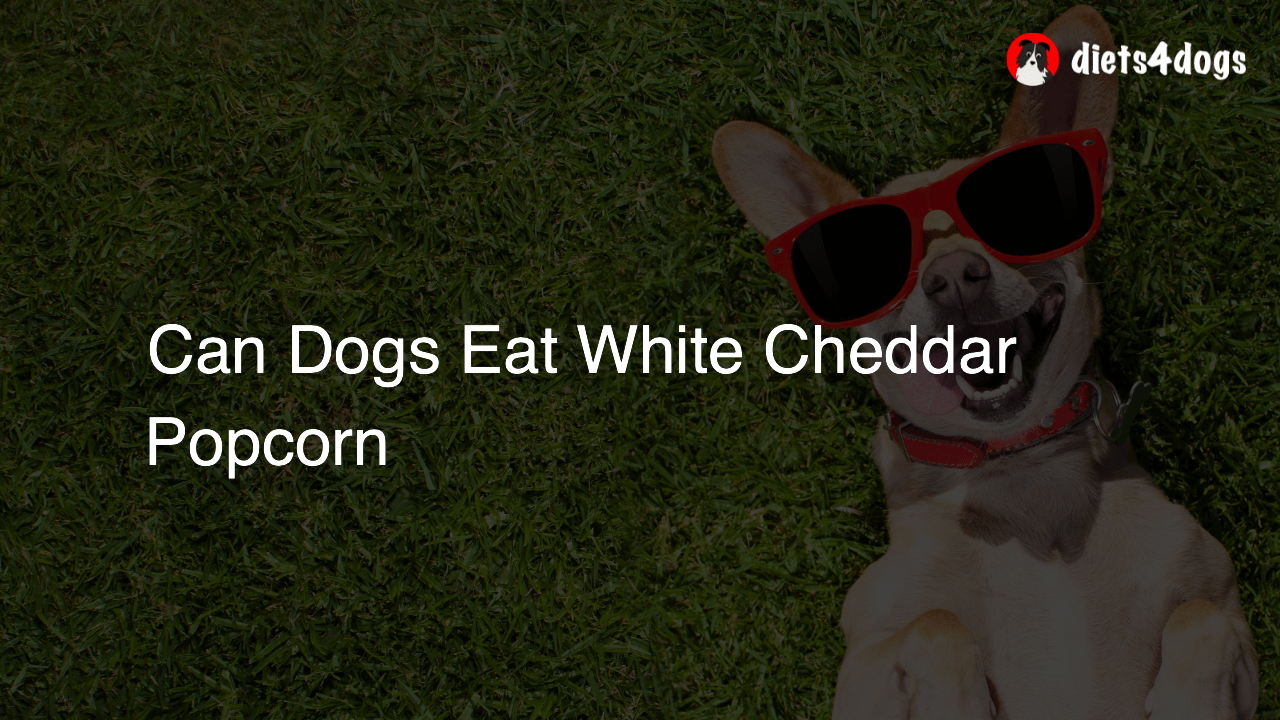 Can Dogs Eat White Cheddar Popcorn