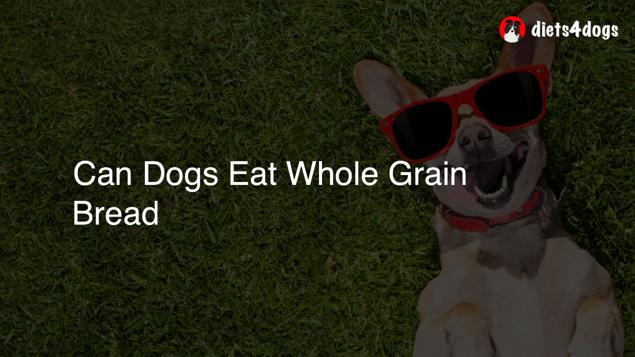 Can Dogs Eat Whole Grain Bread