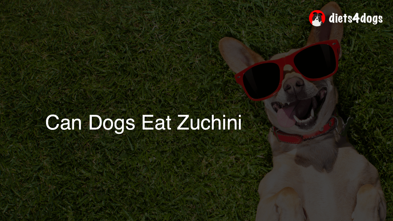 Can Dogs Eat Zuchini