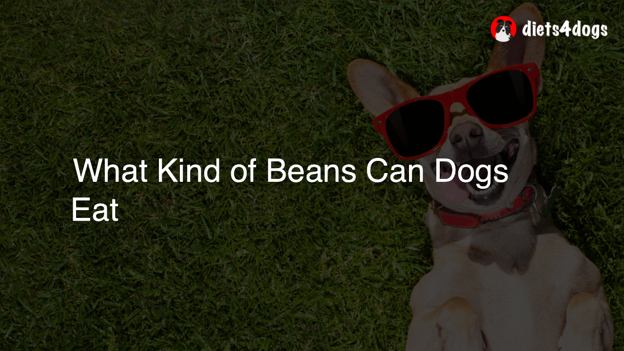 What Kind of Beans Can Dogs Eat
