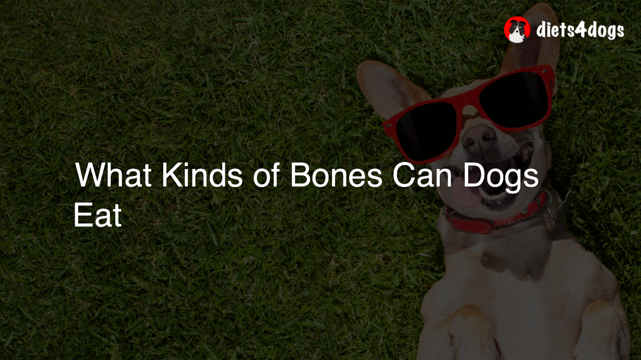 What Kinds of Bones Can Dogs Eat
