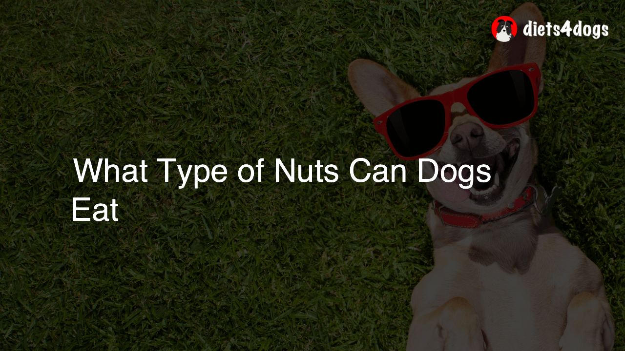 What Type of Nuts Can Dogs Eat